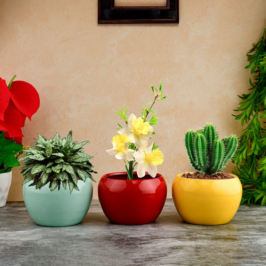 Trio of Vibrant Metal Planters